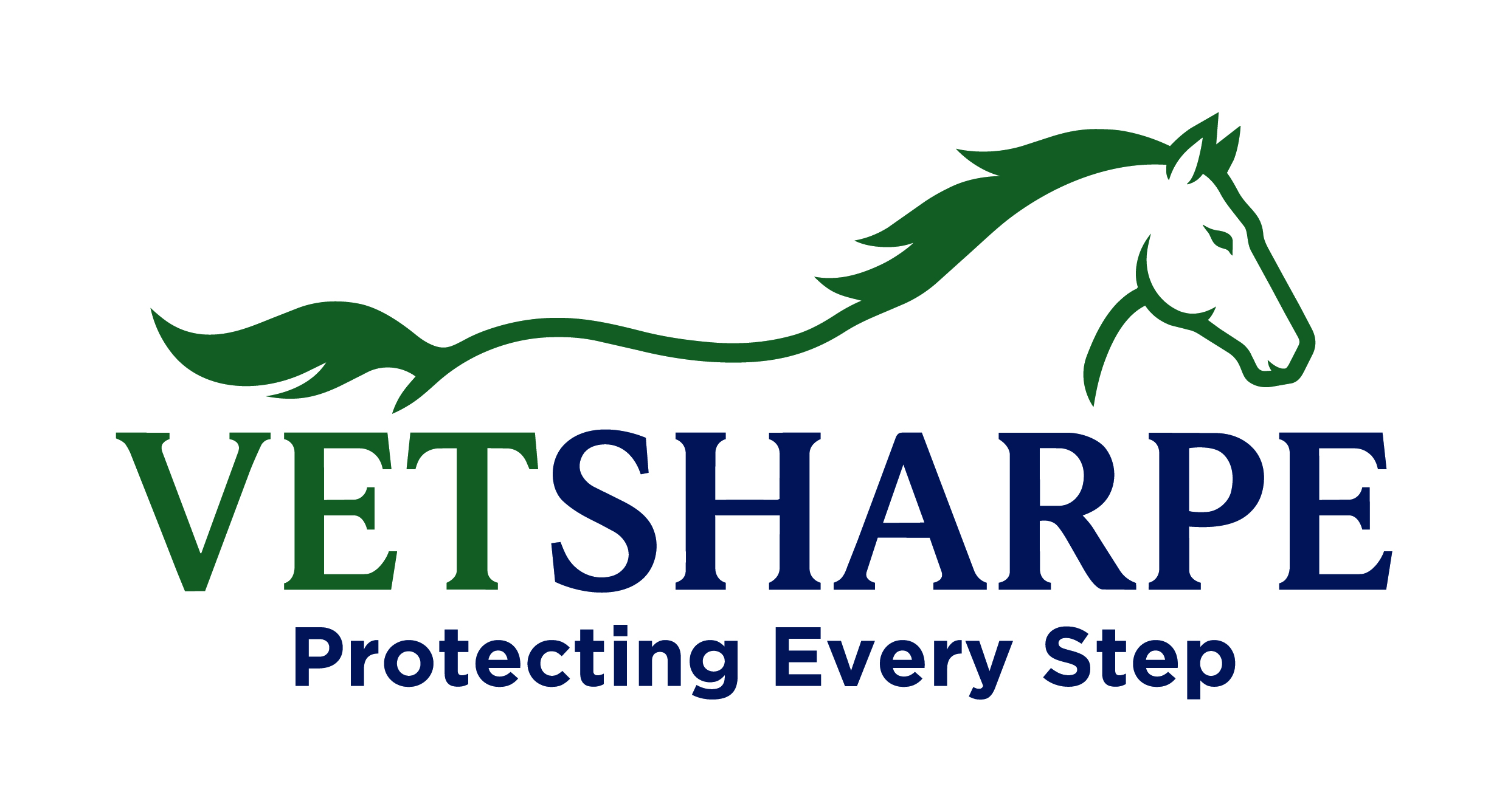 Premium cotton equine leg wraps designed for veterinary professionals and equine specialists.