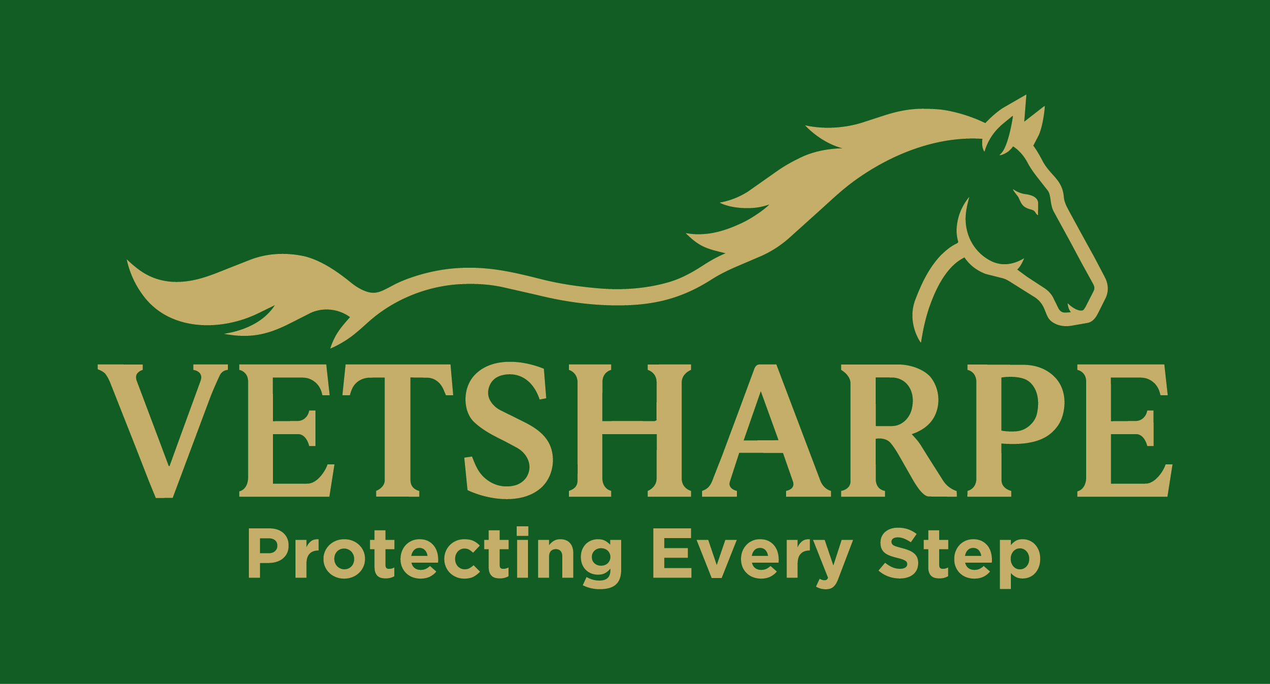 Premium cotton equine leg wraps designed for veterinary professionals and equine specialists.
