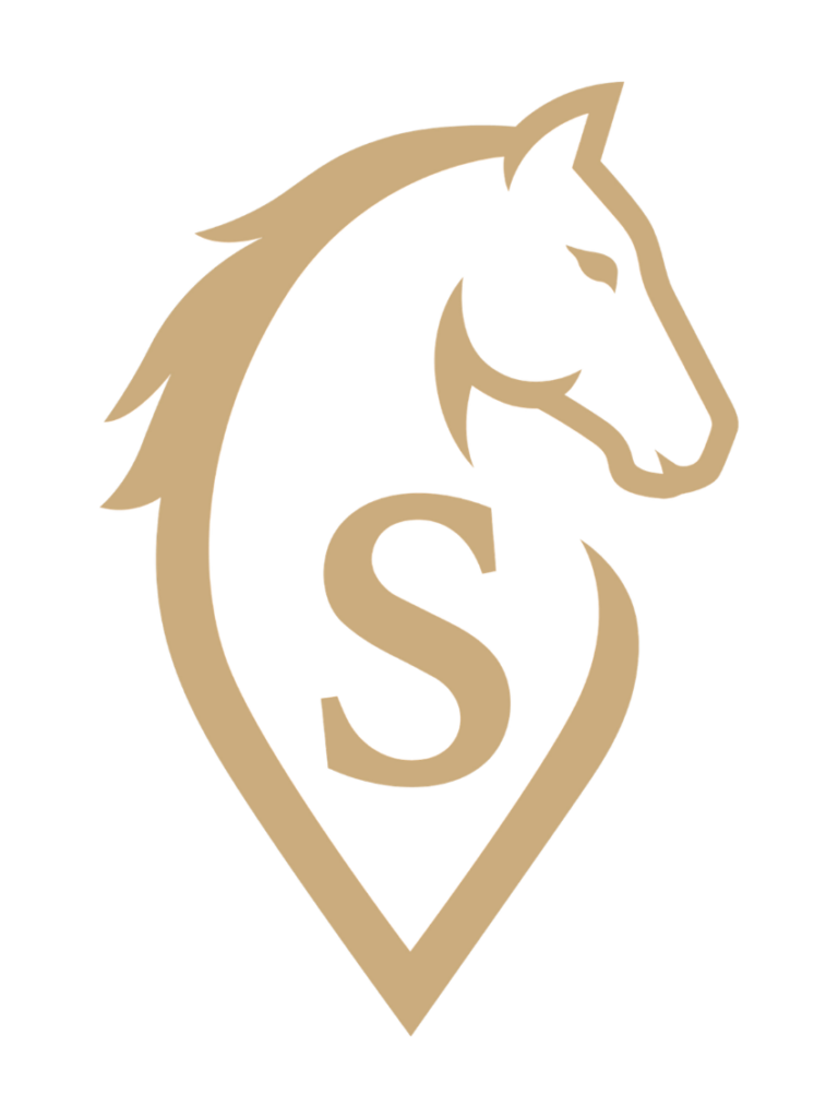 Vet Sharpe - Premium cotton equine leg wraps designed for veterinary professionals and equine specialists.
