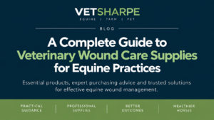 Veterinary Wound Care Supplies – A Complete Guide for Equine Practices