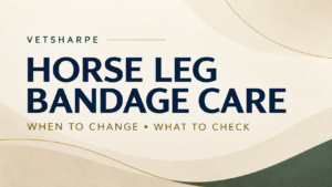 How Often Should You Change a Horse’s Leg Bandage? Safety Checks and Warning Signs